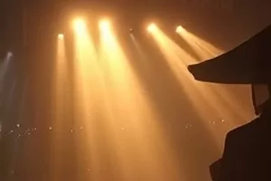 剧情片槐树年轮封面，村口老槐树下的一圈圈年轮特写
